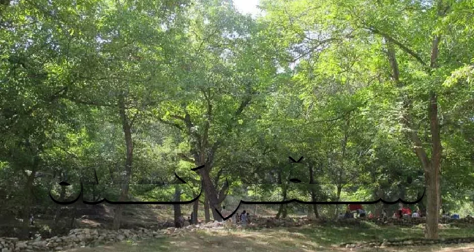 روستا های یزد