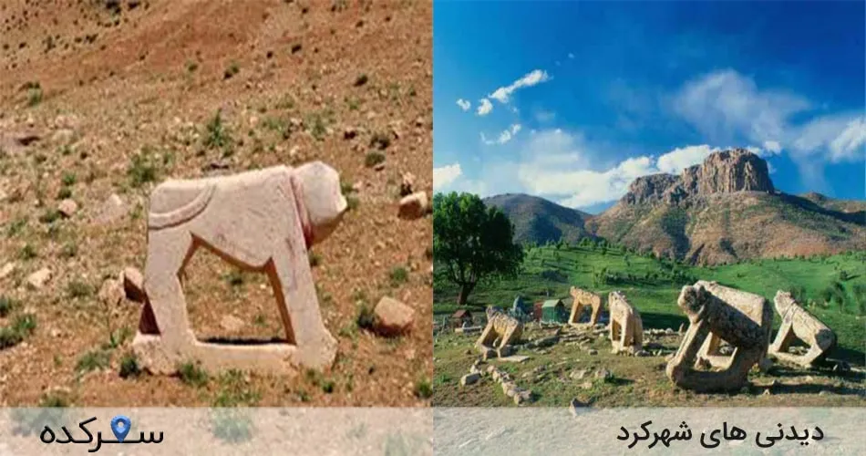 دیدنی های قشم
