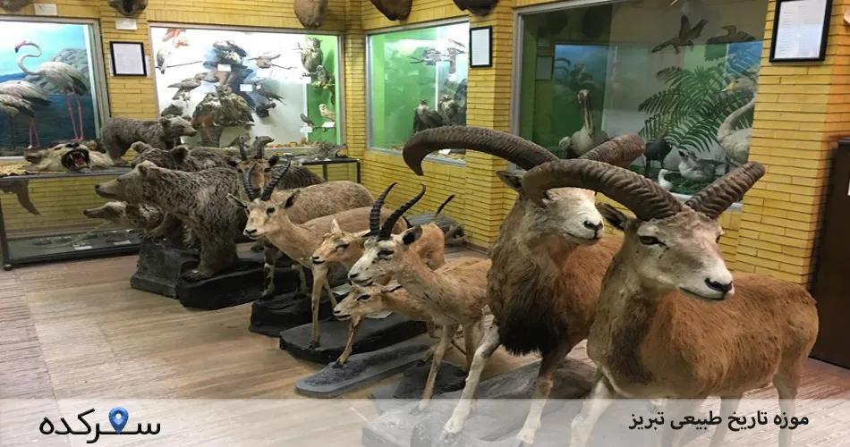 موزه تاریخ طبیعی