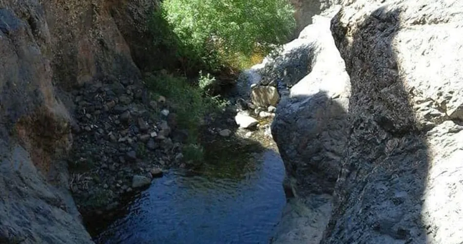 ارتفاعات بفره