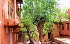روستای ابیانه
