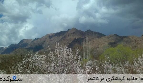 جاذبه گردشگری در کاشمر