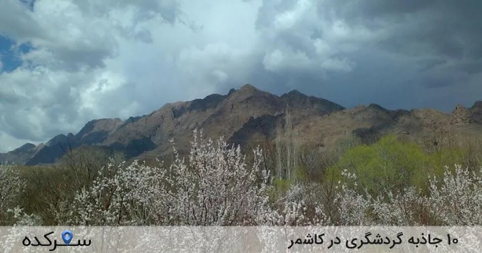 جاذبه گردشگری در کاشمر