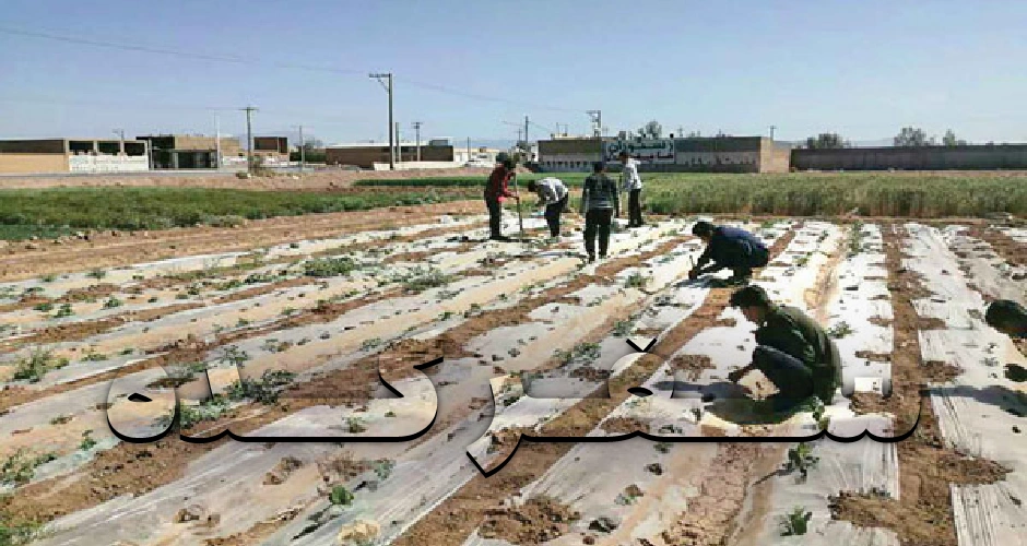 کویر کویر خور و بیابانک یزد