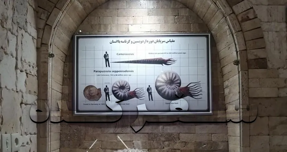 موزه دیرینه شناسی کامبرین یزد