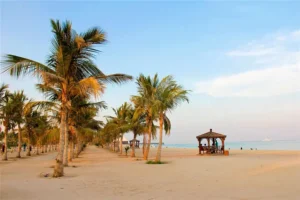 بهار شاداب در جزیره کیش