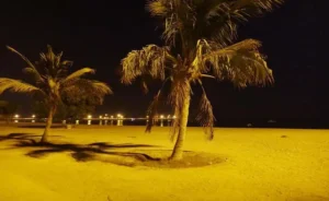 سواحل معروف کیش در شب