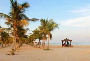 پاییز در کیش