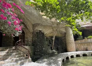 کاریز کیش (20)