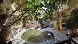 کاریز کیش (8)